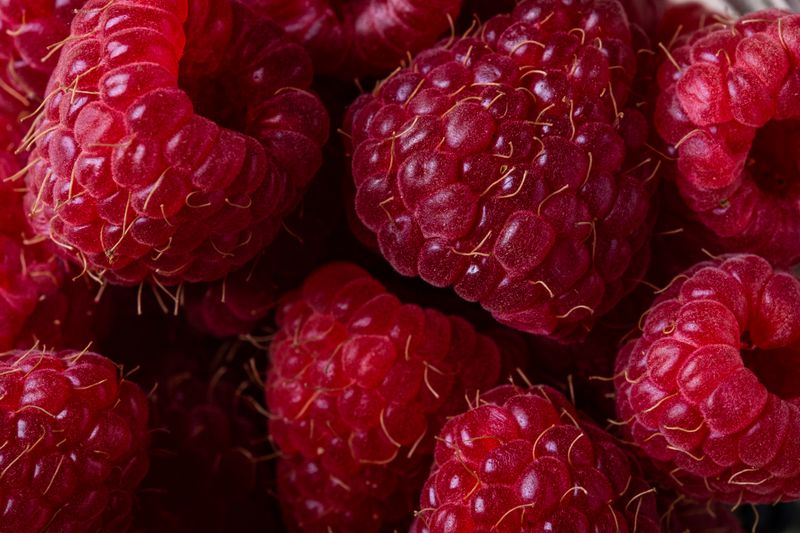 Maline